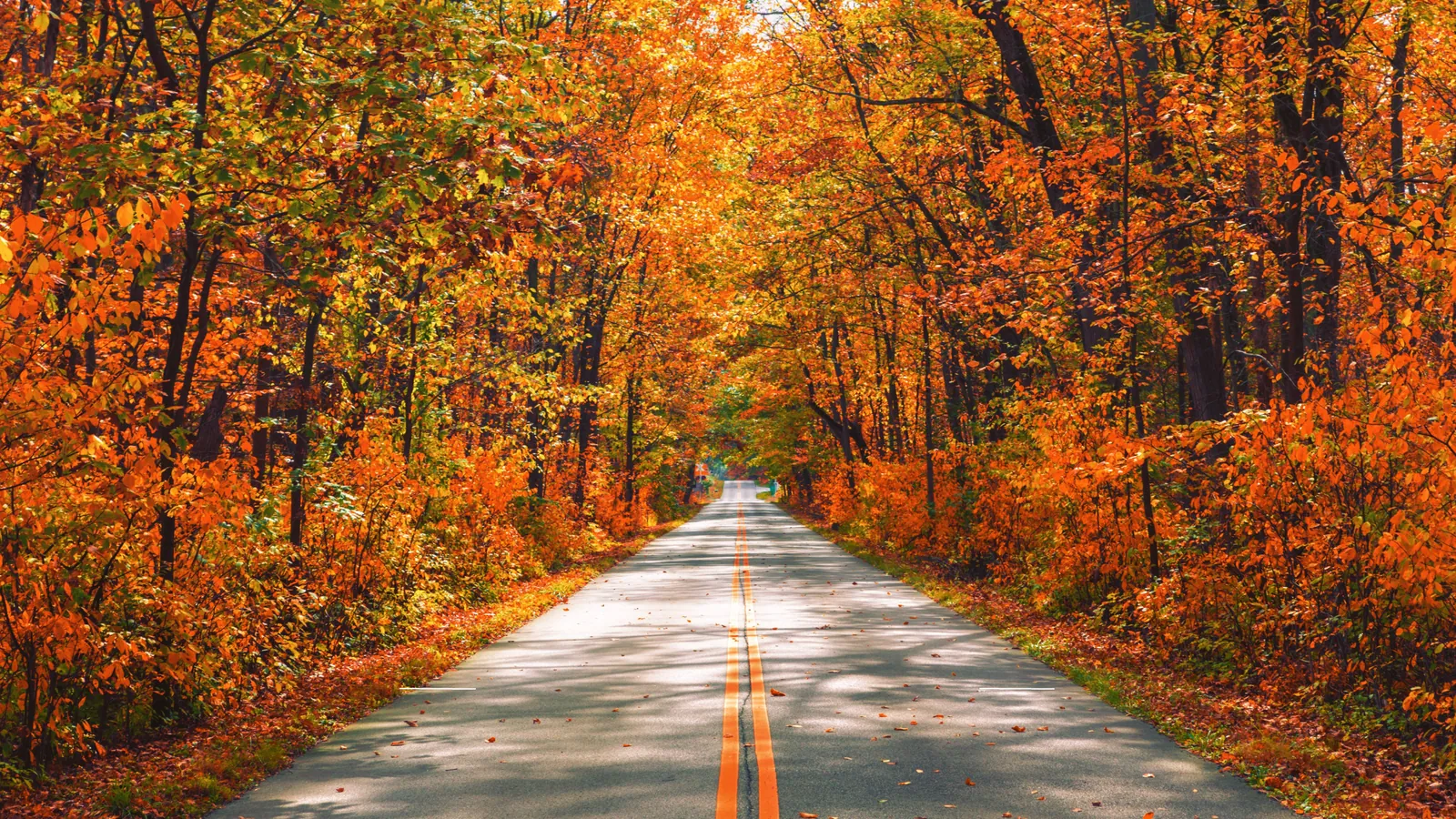 Door County Fall Color Tour