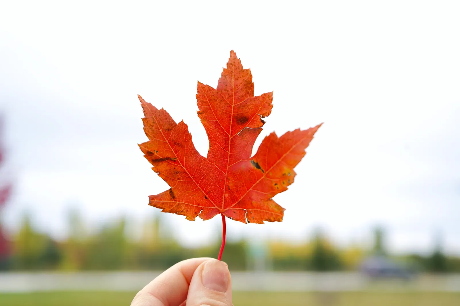 14 Family-Friendly Fall Activities in Door County