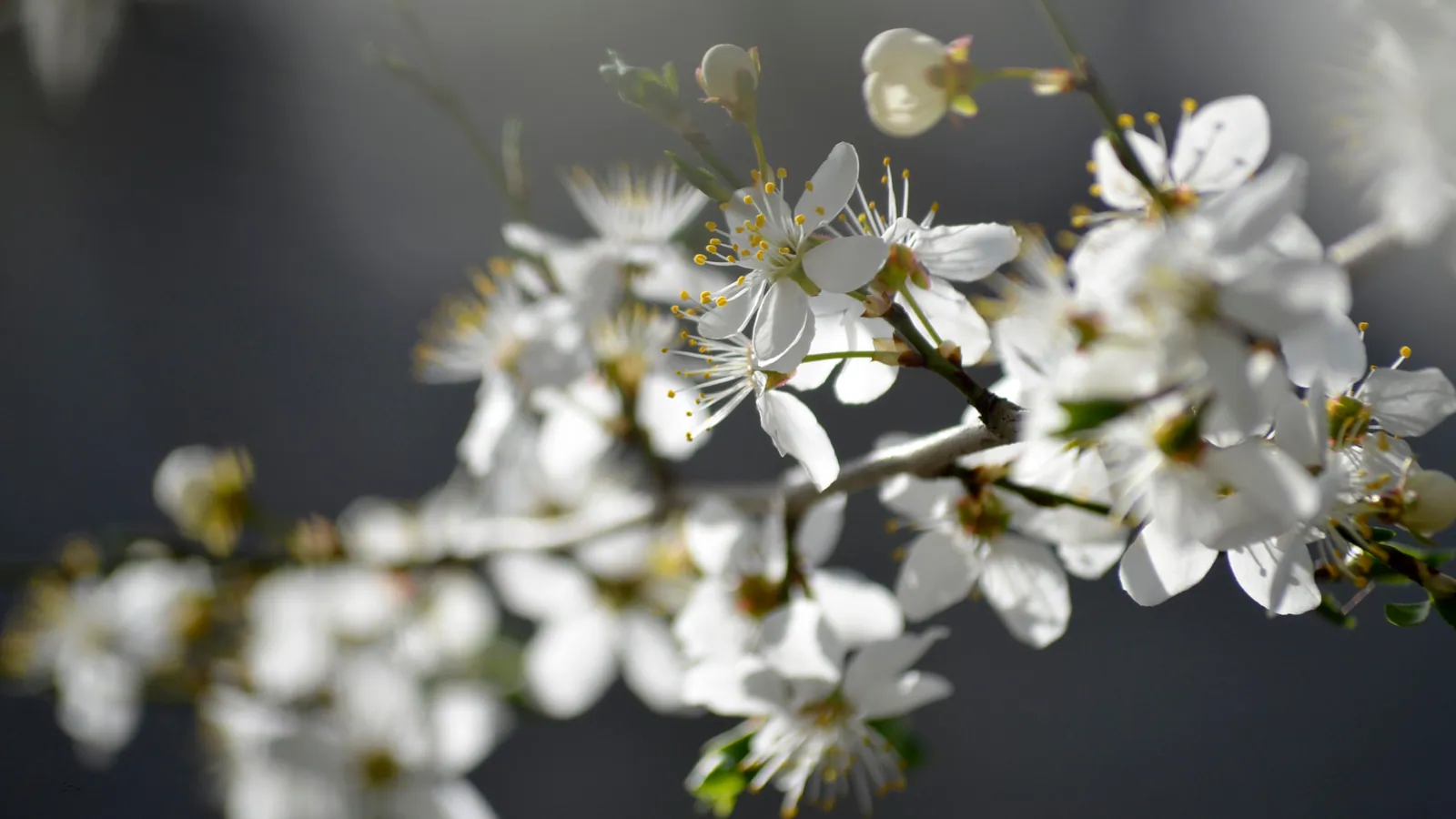 5 Things to Do in Door County this April and May