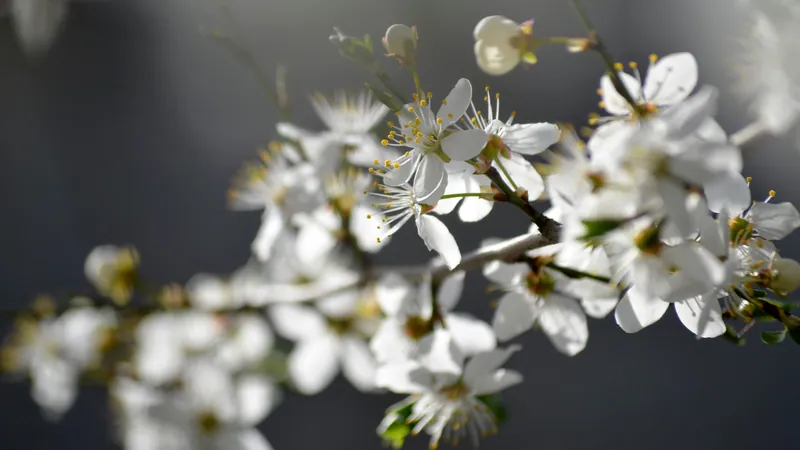 Spring Escape: 5 Things to Do in Door County This April and May