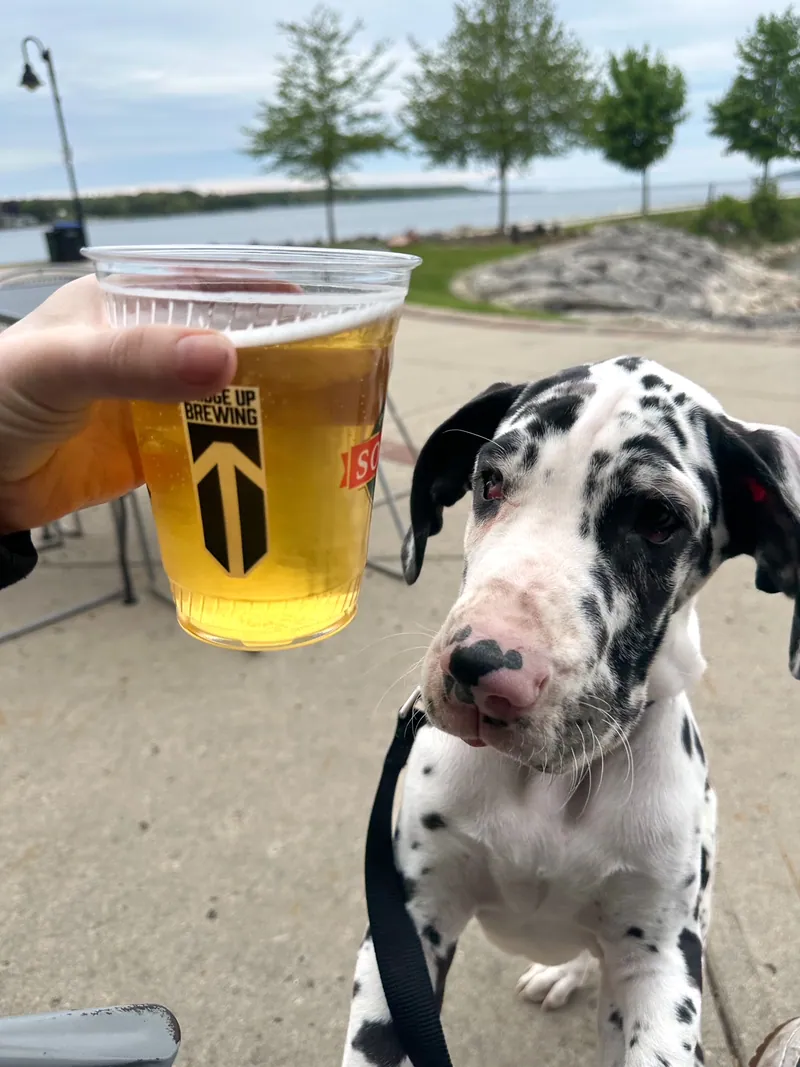 Door County with Dogs