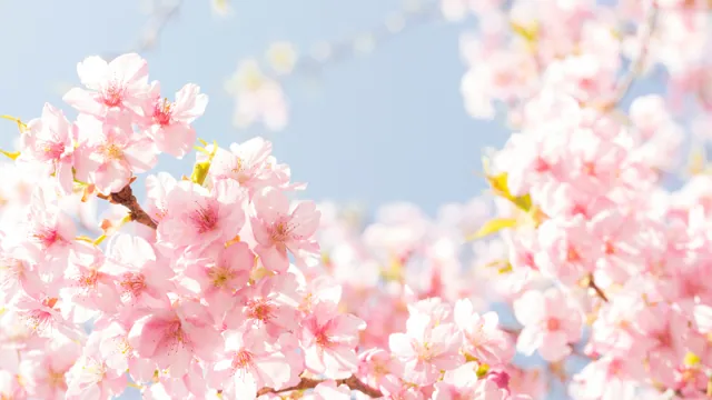 7 Enchanting Reasons to Spring into Door County, Wisconsin